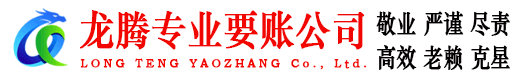 新干要账公司
